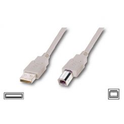 Кабель Atcom USB - USB Type-B V 2.0 (M/M), 1.8 м, феррит, белый (3795) пакет