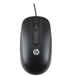 Мышь HP Optical Scroll Black (QY777AA)