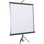 Проекционный экран Atria 99 Проекционный экран Atria 99
