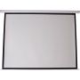 Экран моторизированный Atria 120