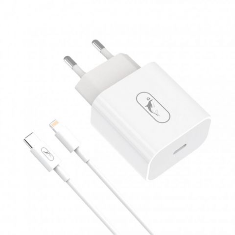 Сетевое зарядное устройство SkyDolphin SC38T (USB TYPE-Cx2.4A) White (MZP-000182) + кабель Lightning