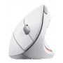 Миша бездротова Trust Verto Ergonomic White (25132_TRUST) 