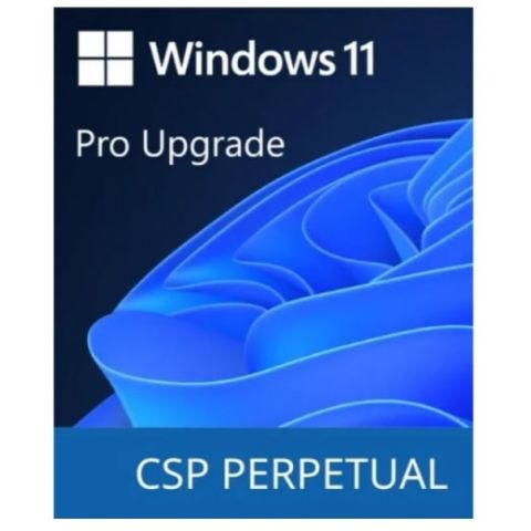 Программный продукт Microsoft Windows 11 Pro Upgrade (DG7GMGF0D8H4-0004)