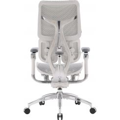 Кресло офисное Sihoo Doro S300 Mesh Light Grey (S300-M202) Кресло офисное Sihoo Doro S300 Mesh Light Grey (S300-M202)