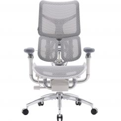 Кресло офисное Sihoo Doro S100 Mesh Black (S100-M301) Кресло офисное Sihoo Doro S100 Mesh Black (S100-M301)