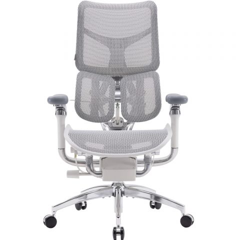 Кресло офисное Sihoo Doro S100 Mesh Black (S100-M301) Кресло офисное Sihoo Doro S100 Mesh Black (S100-M301)