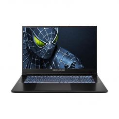 Ноутбук Dream Machines RG5050-17 (RG5050-17UA27) Black