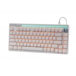 Клавиатура Bloody AT75 White