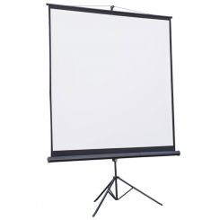 Проекционный экран Atria 110