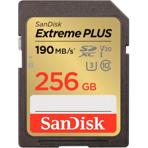 Карта памяти SDXC 256GB UHS-1 SDSDXWV-256G-GNCIN SANDISK