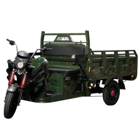 Электрический мопед TRIGO JJ1.6 1000W/60V/50AH(DZM) (зеленый)