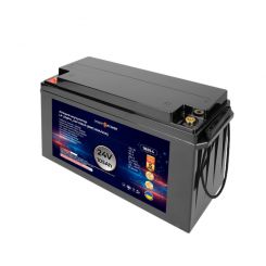 Аккумулятор LP LiFePO4 24V - 105 Ah (BMS 80A/40А) пластик