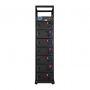 Акумулятор LP LiFePO4 Battery HVM 358,4V 280Ah (100352 Wh) BMS 125А AB Lrack black