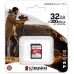 Карта пам'яті KINGSTON 32GB Canvas React Plus SDHC UHS-II 3 00R/260W U3 V90 (SDR2/32GB)